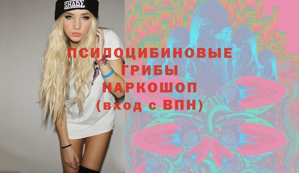 круглые Абаза
