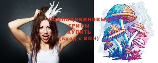 круглые Абаза
