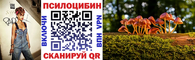 Псилоцибиновые грибы GOLDEN TEACHER  Донской 